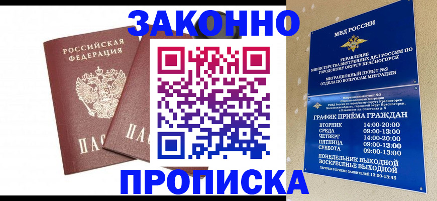 прописка гарантия в Камышине